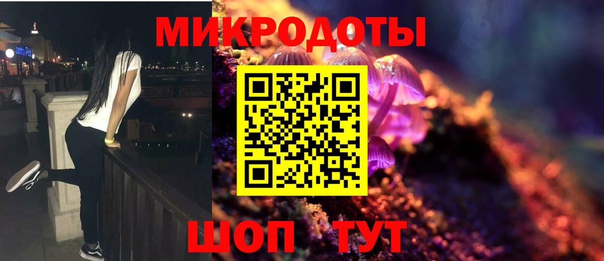 Вичуга  Псилоцибиновые грибы ЛСД  Вход с VPN 